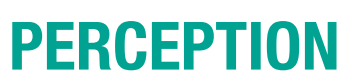 Perception